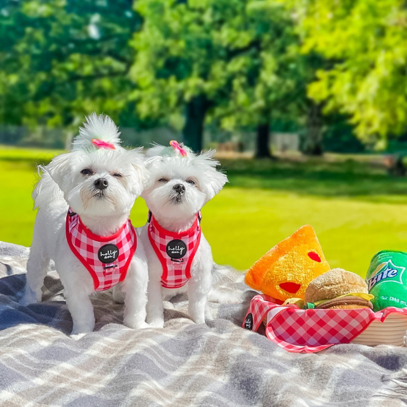 Oppa Gingham Style Dog Harness - FINAL SALE. NO RETURNS.