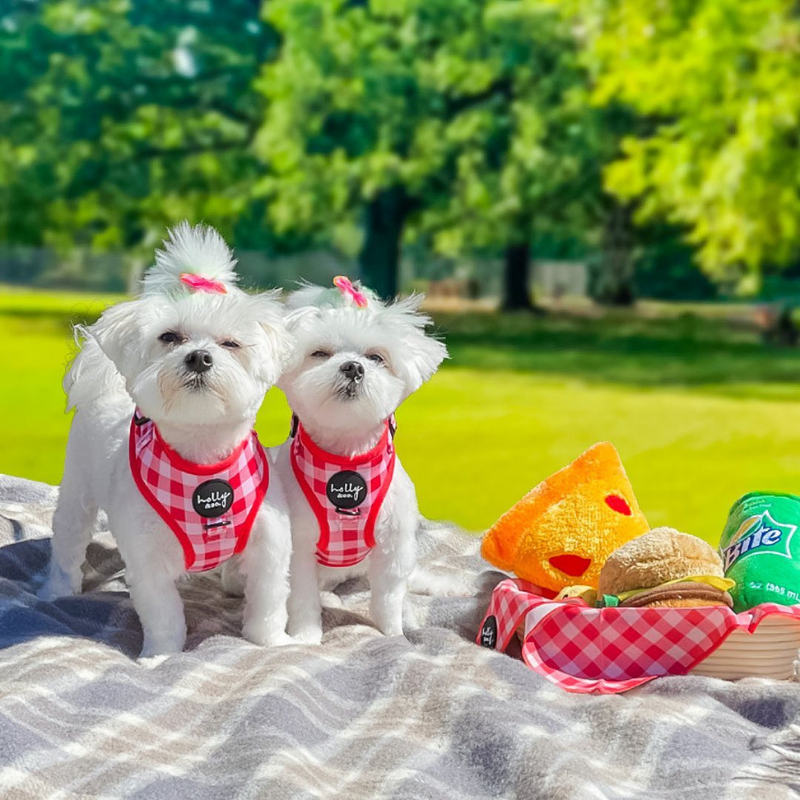 Oppa Gingham Style Dog Harness