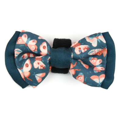 Wings Bow Tie