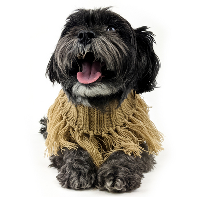 Coachella Knit Dog Jumper | Caramel