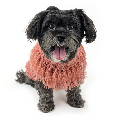 Coachella Knit Dog Jumper | Salmon