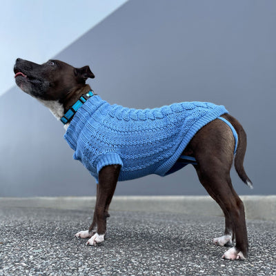French Knit Dog Jumper | Indigo Blue