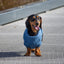 French Knit Dog Jumper | Indigo Blue