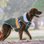 Lightning Bolt Waterproof Dog Coat | Olive