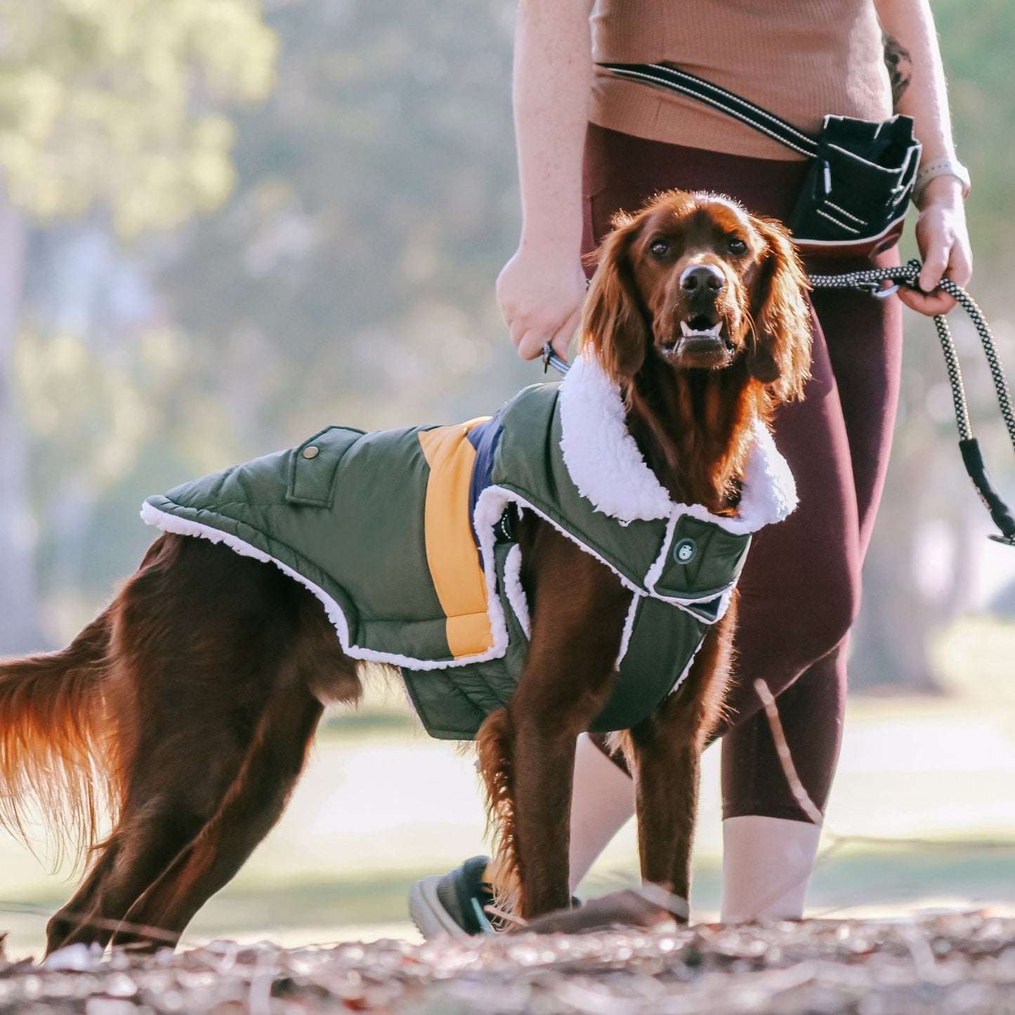 Lightning Bolt Waterproof Dog Coat | Olive