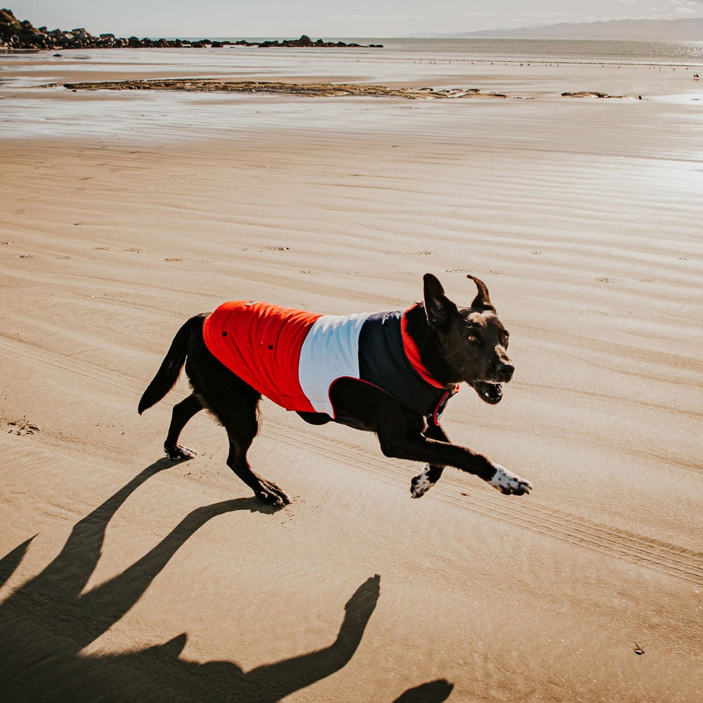 Mt Buller Waterproof Dog Coat | Navy + Red