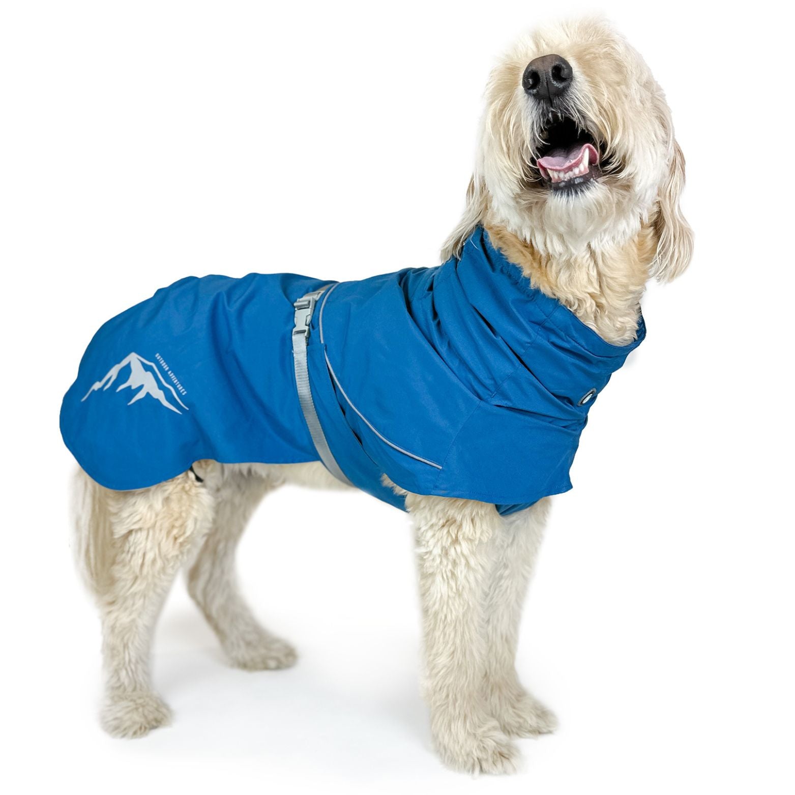 Reflective LV Raincoat With Hood For Dogs