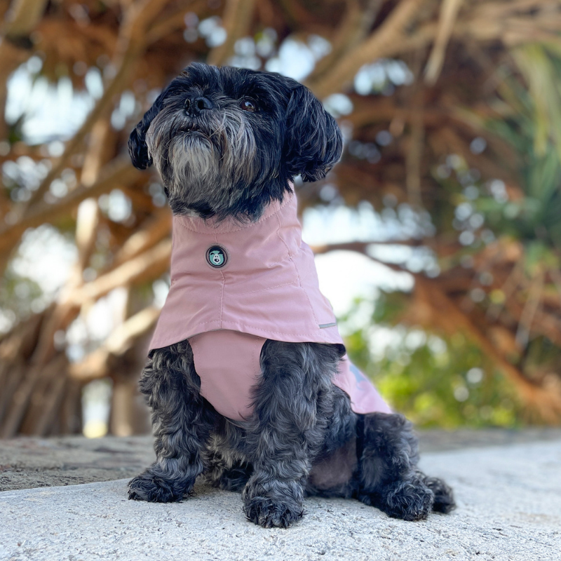 Peak Dog Raincoat | Dusty Pink
