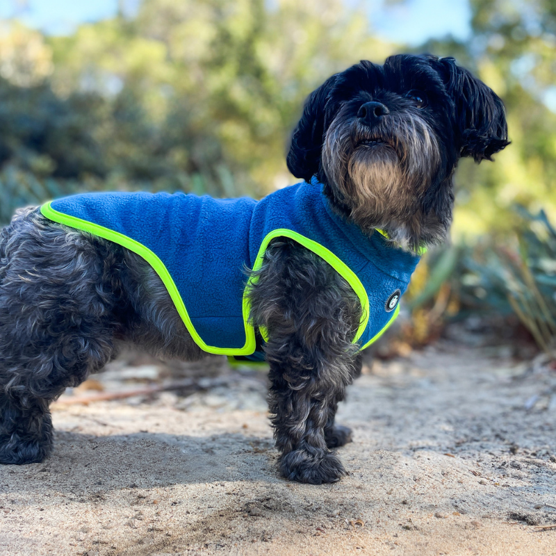 Perisher Duo Dog Fleece | Tasman Blue