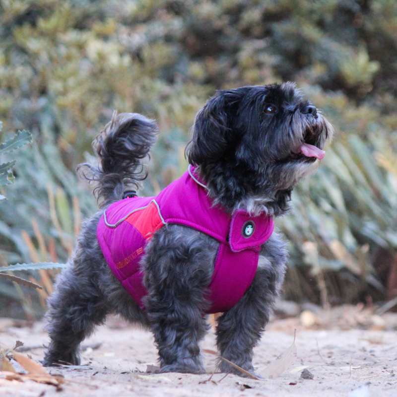 Sherpa Sport Waterproof Dog Coat | Magenta