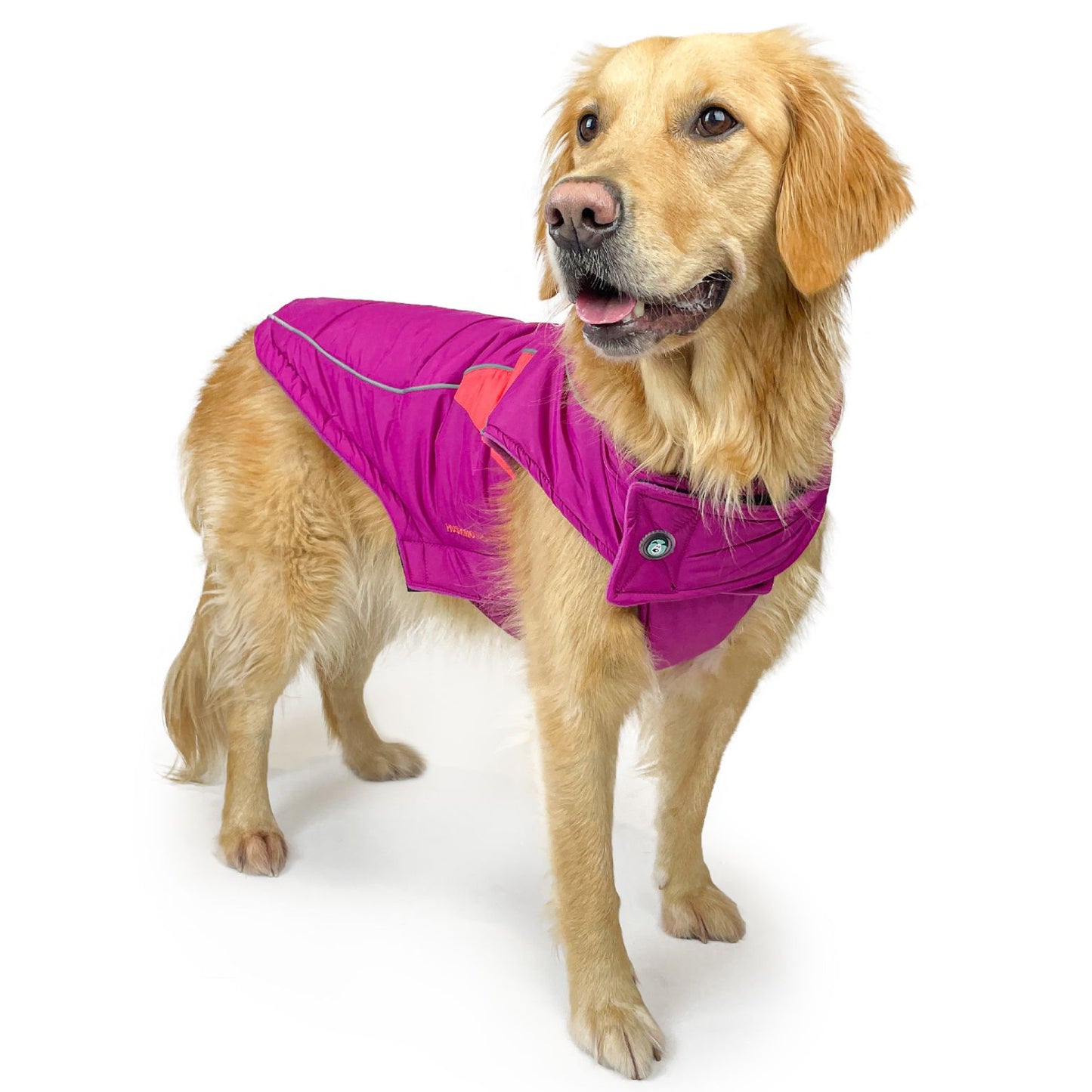 Sherpa Sport Waterproof Dog Coat | Magenta
