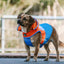Snow Parka Waterproof Dog Coat | Orange