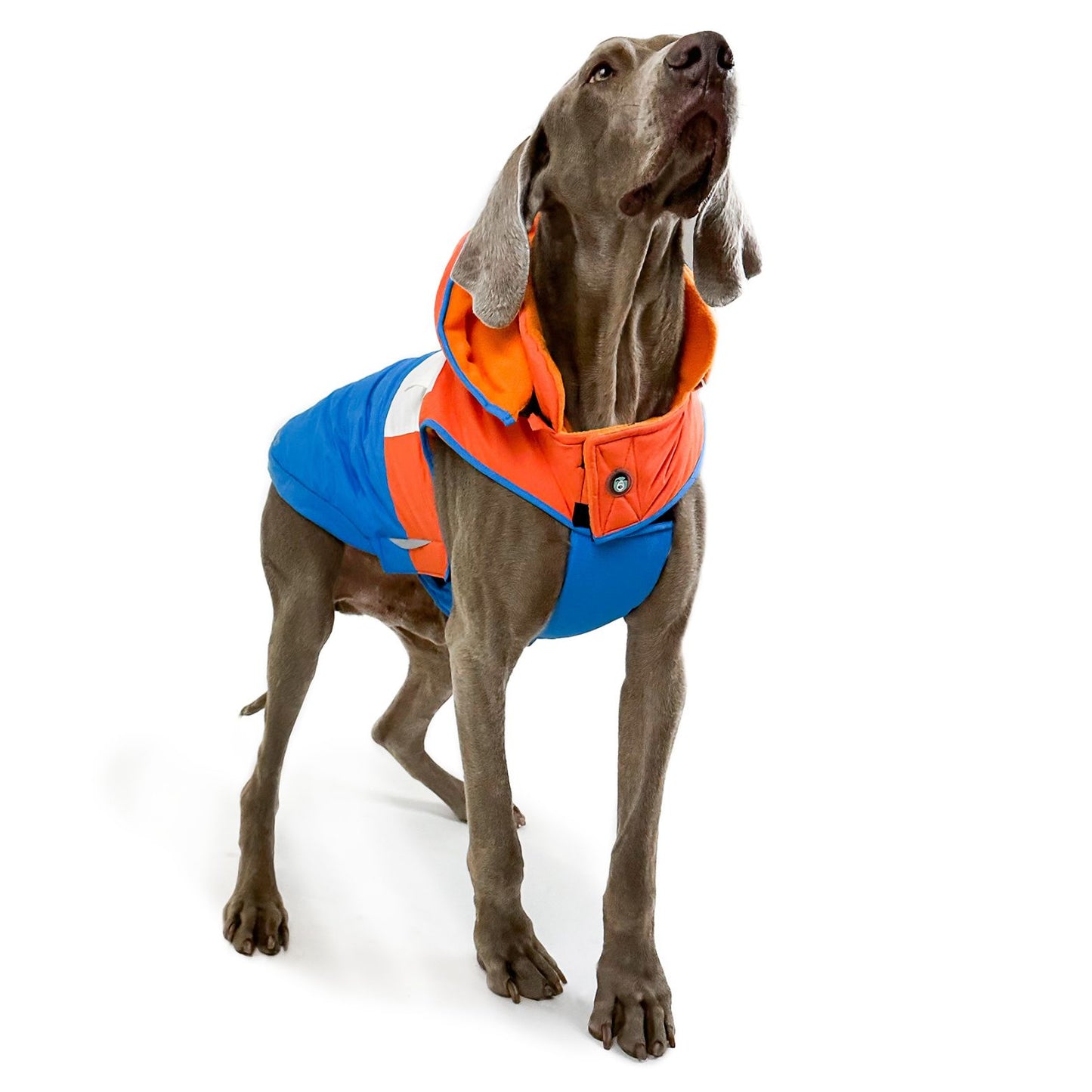 Snow Parka Waterproof Dog Coat | Orange