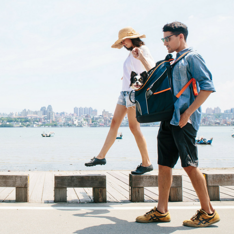 Ibiyaya Ultralight Pet Backpack | Navy | Peticular