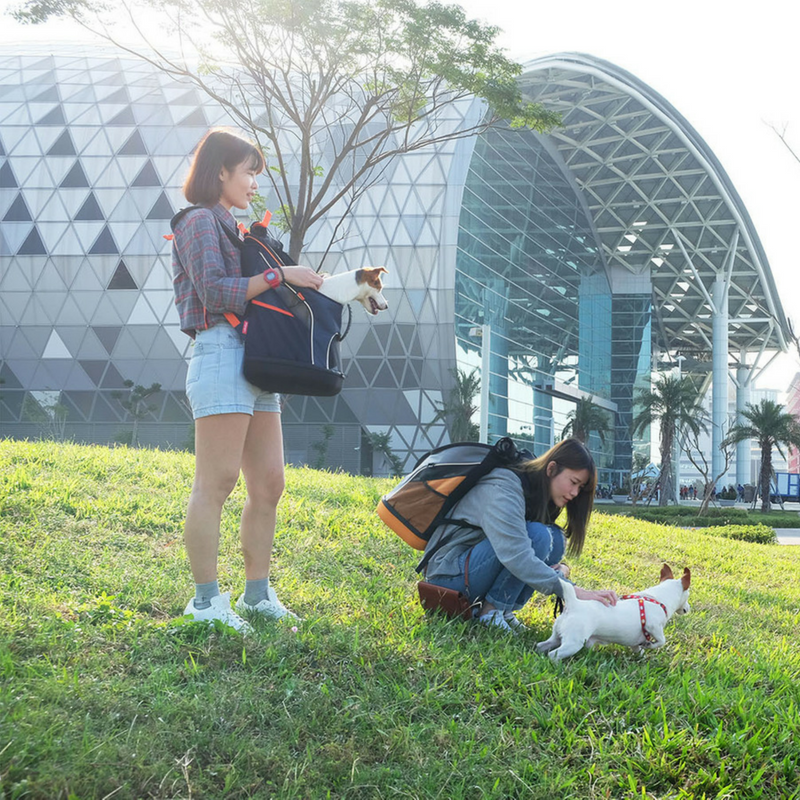 Ibiyaya Ultralight Pet Backpack | Navy | Peticular