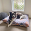Indoor Dog Bed Cover | Blooming Bees