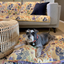 Indoor Dog Bed Cover | Blooming Bees