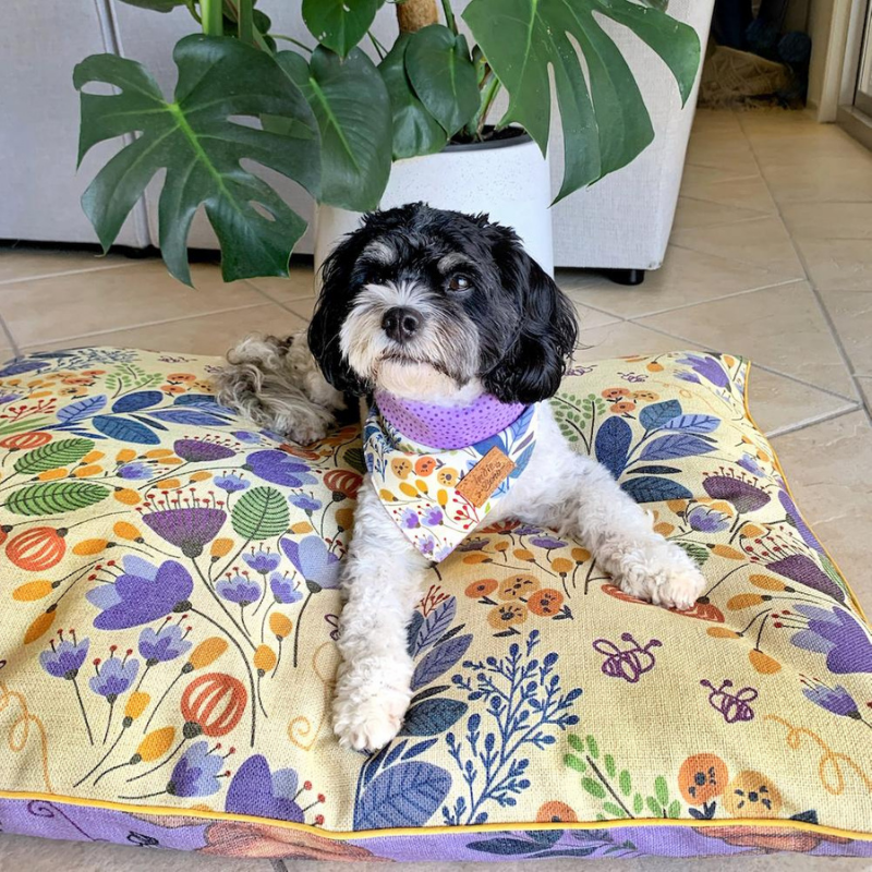 Indoor Dog Bed | Blooming Bees