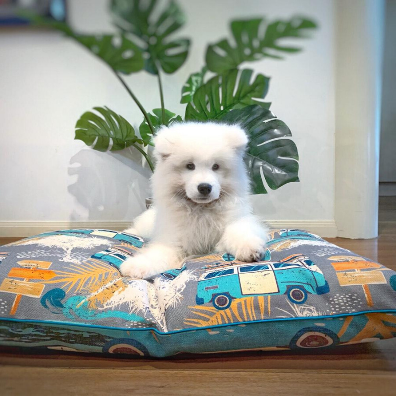 Indie Boho Cushion Pet Bed | Byron Surf | Peticular