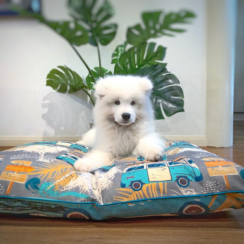 Indie Boho Additional Pet Bed Cover | Byron Surf | Peticular