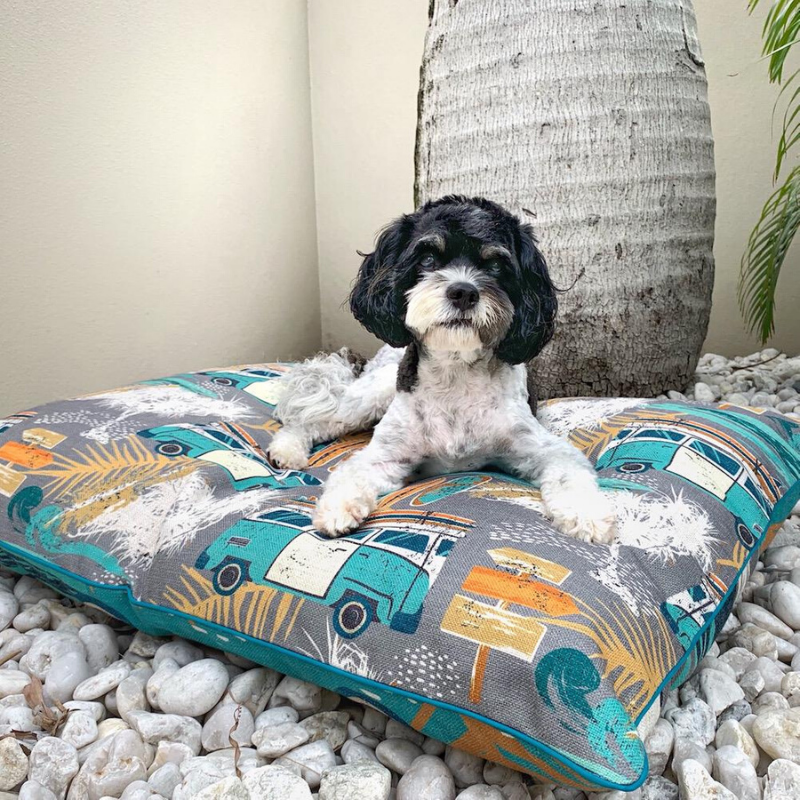 Indie Boho Cushion Pet Bed | Byron Surf | Peticular