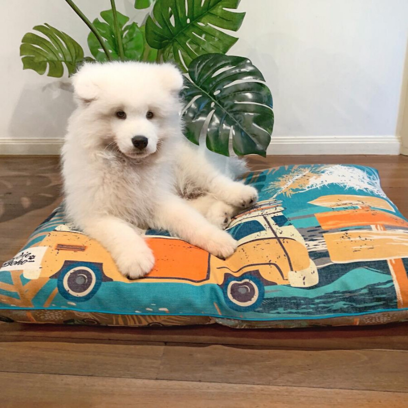 Indie Boho Additional Pet Bed Cover | Byron Surf | Peticular