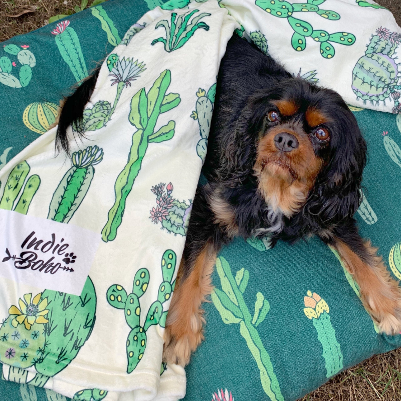 Indie Boho Designer Pet Blanket | Cactus Fusion | Peticular