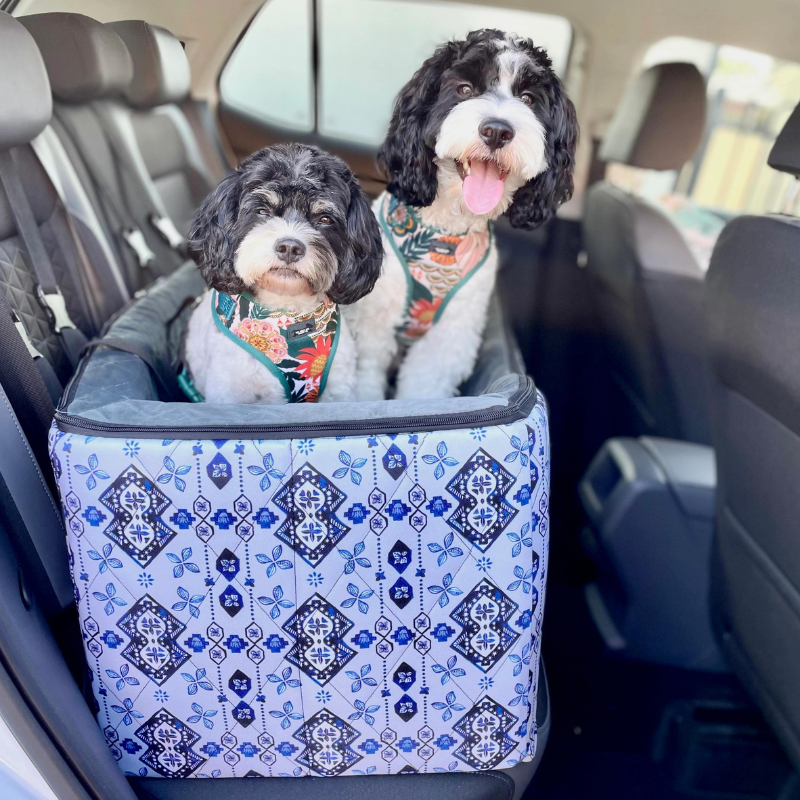 Car Pet Booster Double Seat | Noosa Nights