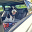 Car Pet Booster Double Seat | Daydream Shells