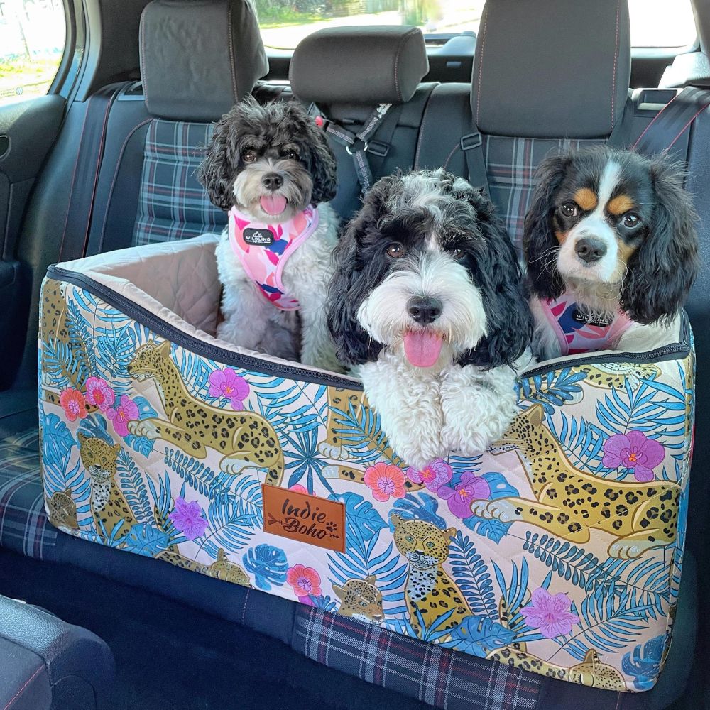 Car Pet Booster Double Seat | Leopard Luxe