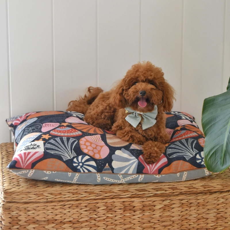 Indoor Dog Bed | Daydream Shells