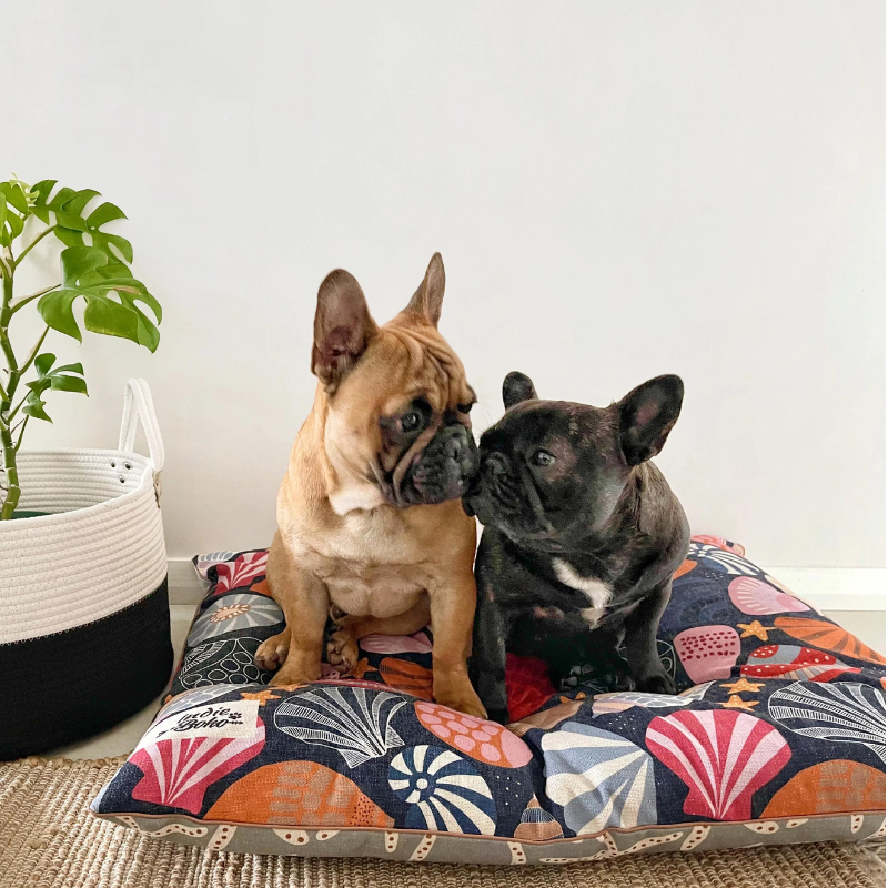 Indoor Dog Bed | Daydream Shells