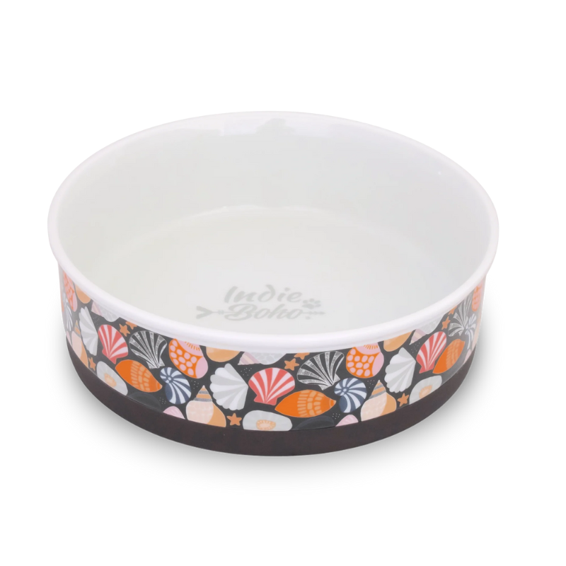 Designer Pet Bowls | Daydream Shells