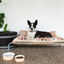 Designer Pet Bowls | Foxy Tales