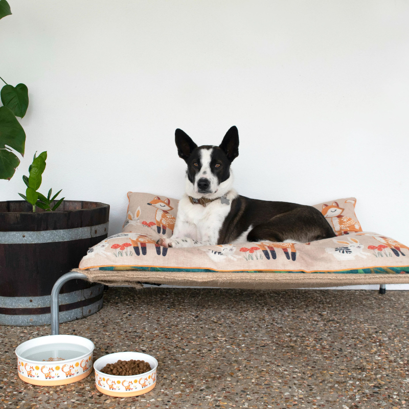 Designer Pet Bowls | Foxy Tales