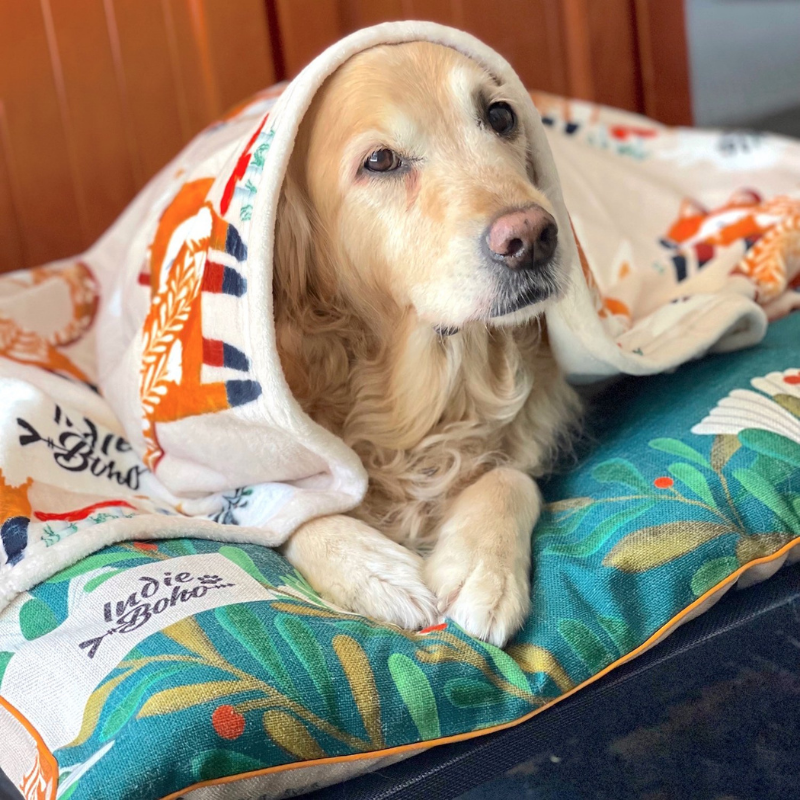 Designer Pet Blanket | Foxy Tales