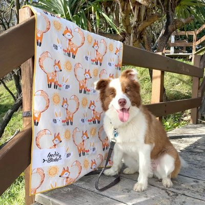 Pet Travel & Bath Towel | Foxy Tales