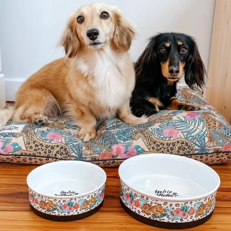 Boho dog bowls best sale