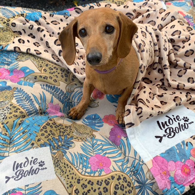Indie Boho Designer Pet Blanket | Leopard Luxe | Peticular