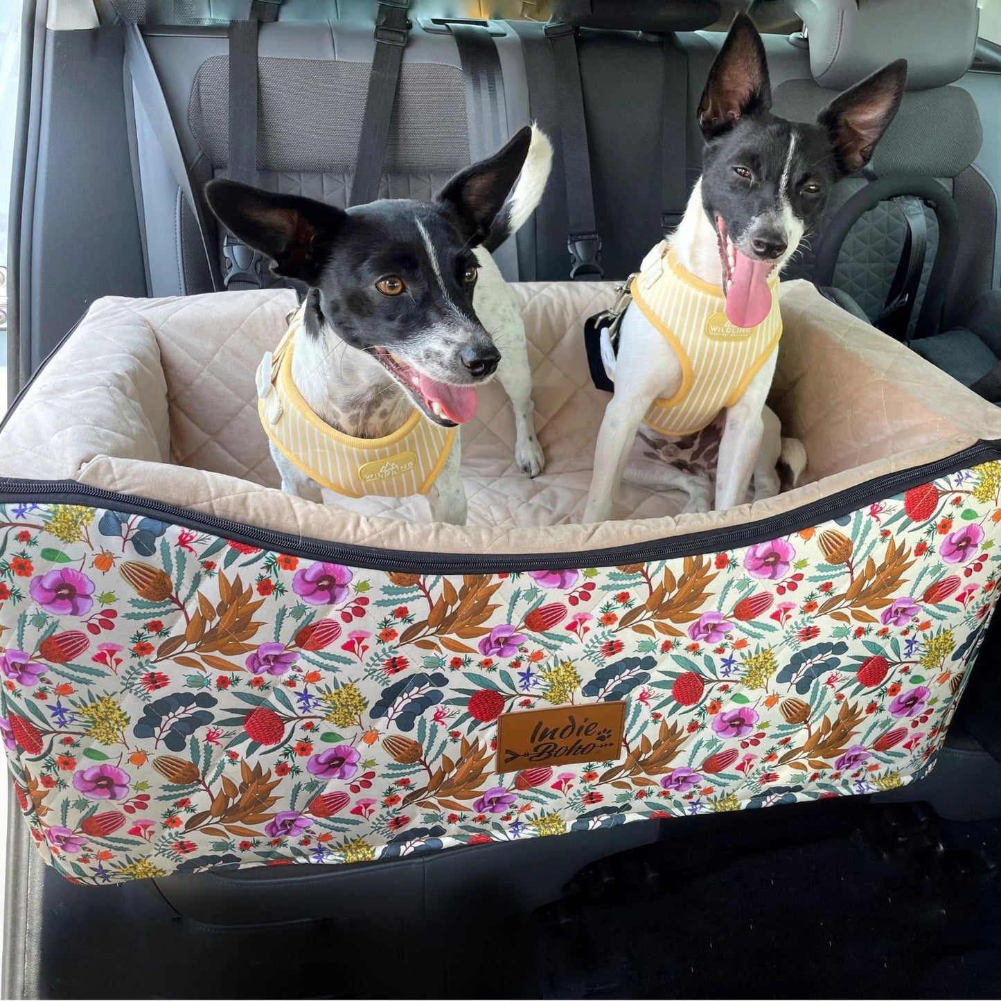 Car Pet Booster Double Seat | Native Flora