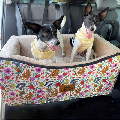 Car Pet Booster Double Seat | Native Flora