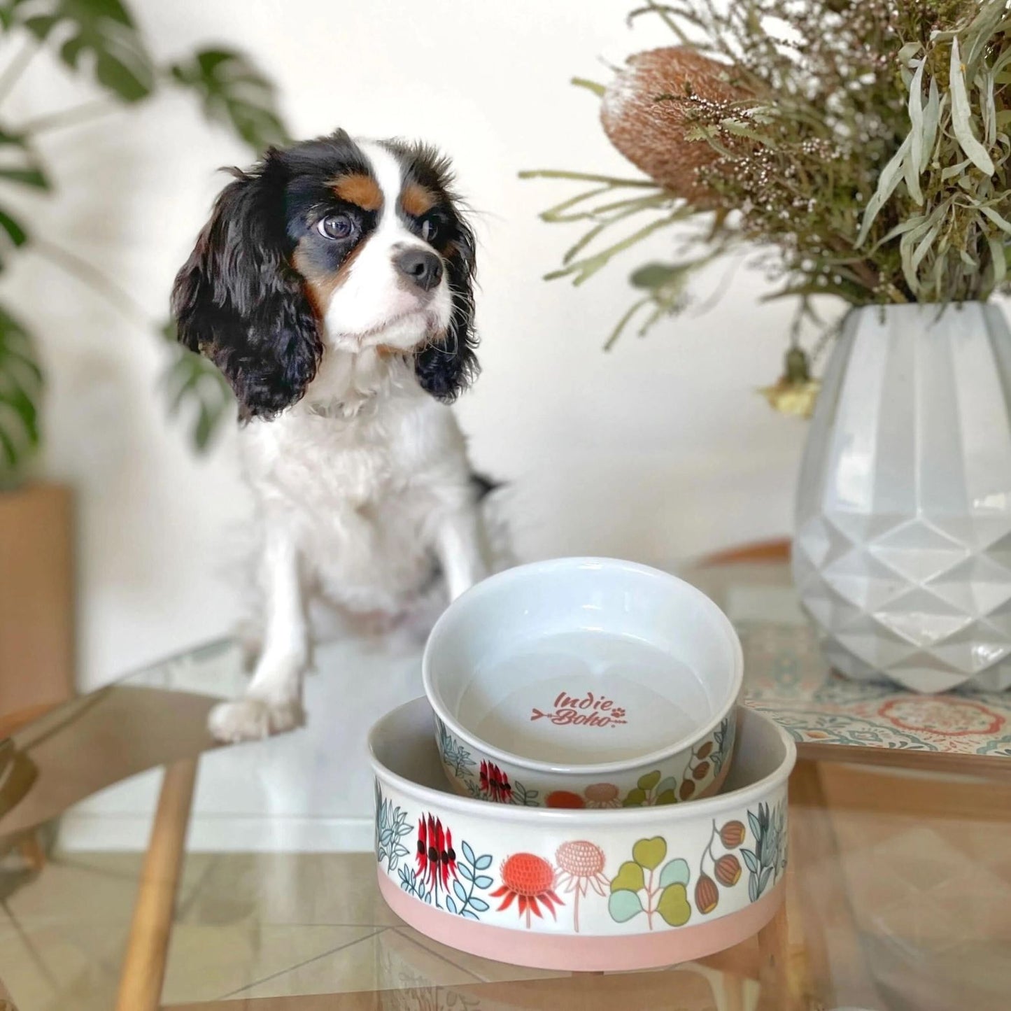 Designer Pet Bowls | Native Flora
