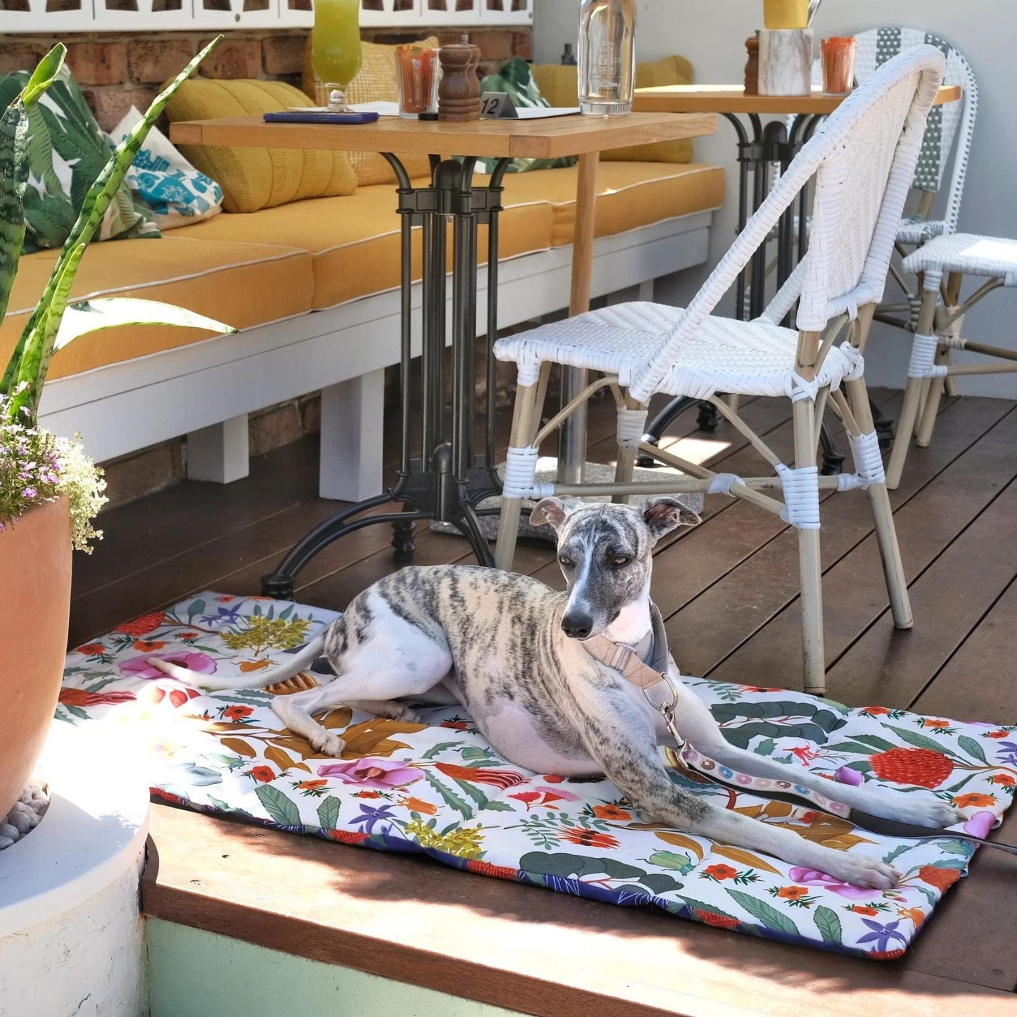 Dog Travel & Training Mat | Native Flora