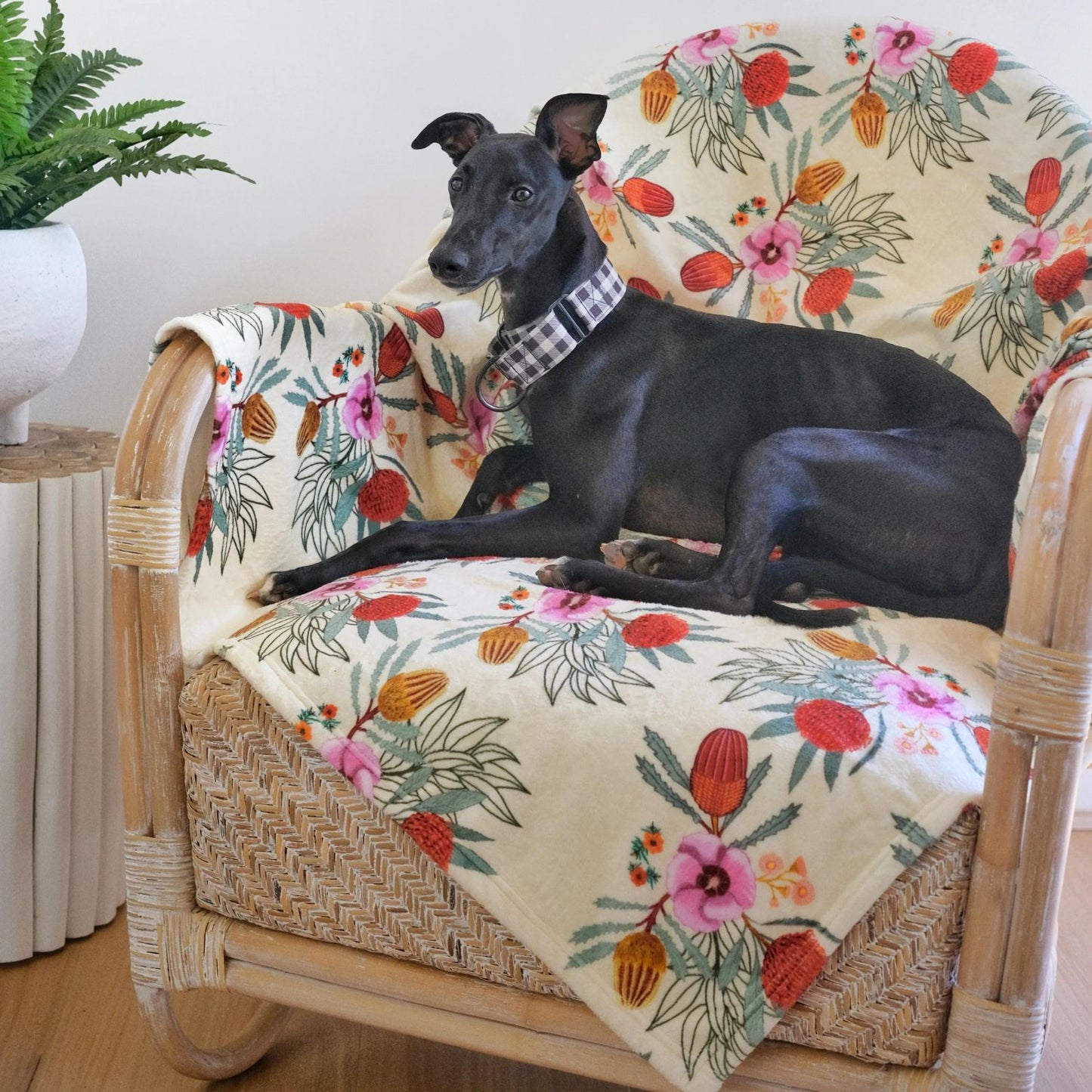 Designer Pet Blanket | Native Flora