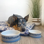 Designer Pet Bowls | Noosa Nights