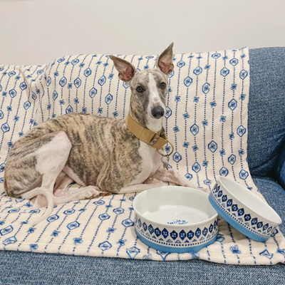 Designer Pet Bowls | Noosa Nights