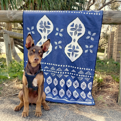 Pet Travel & Bath Towel | Noosa Nights