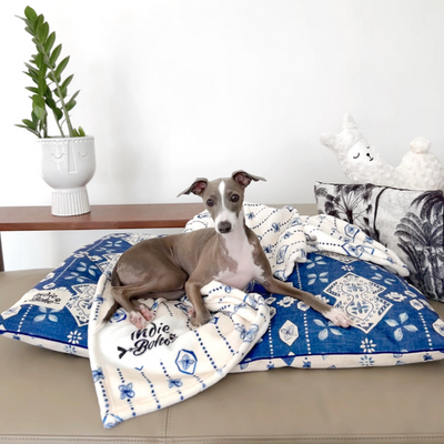 Designer Pet Blanket | Noosa Nights