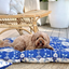 Indoor Dog Bed | Noosa Nights