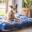 Indoor Dog Bed | Noosa Nights